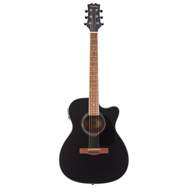 PRS SE Custom 24